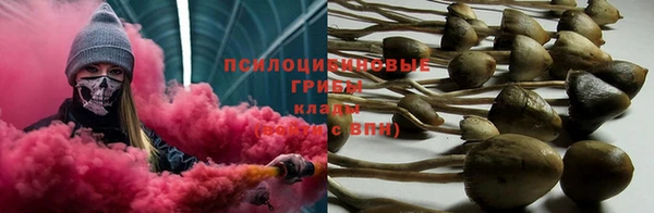 ALPHA PVP Богданович