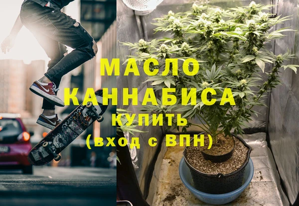 гидра Богородск