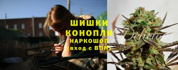 сатива Белокуриха