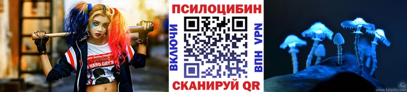 Галлюциногенные грибы MAGIC MUSHROOMS  закладки  Дюртюли 
